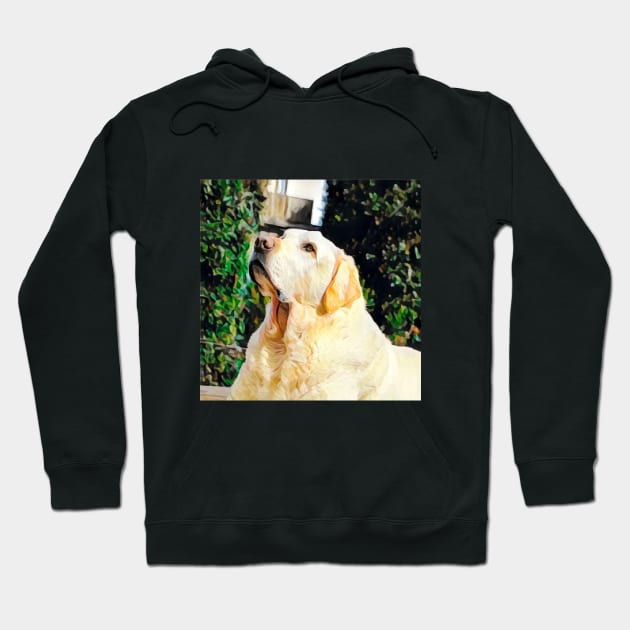 Cool Pet, Puppy Labrador Retriever, Dog T-shirts, Hats, Bags, Stickers, Cups Hoodie by MIDALE